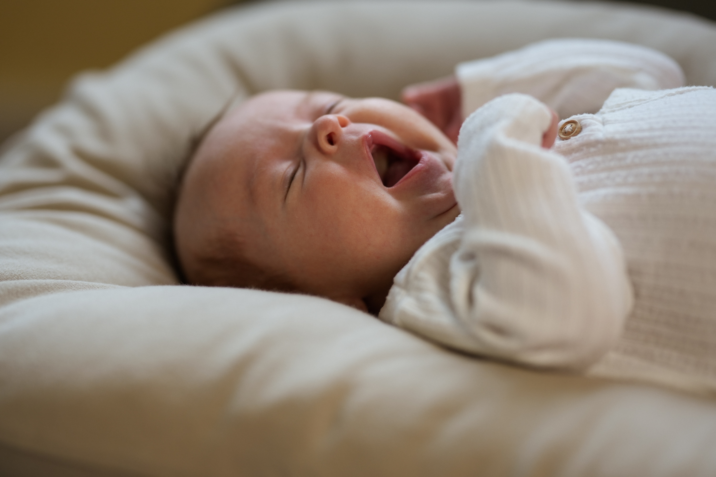 Newborn Photography